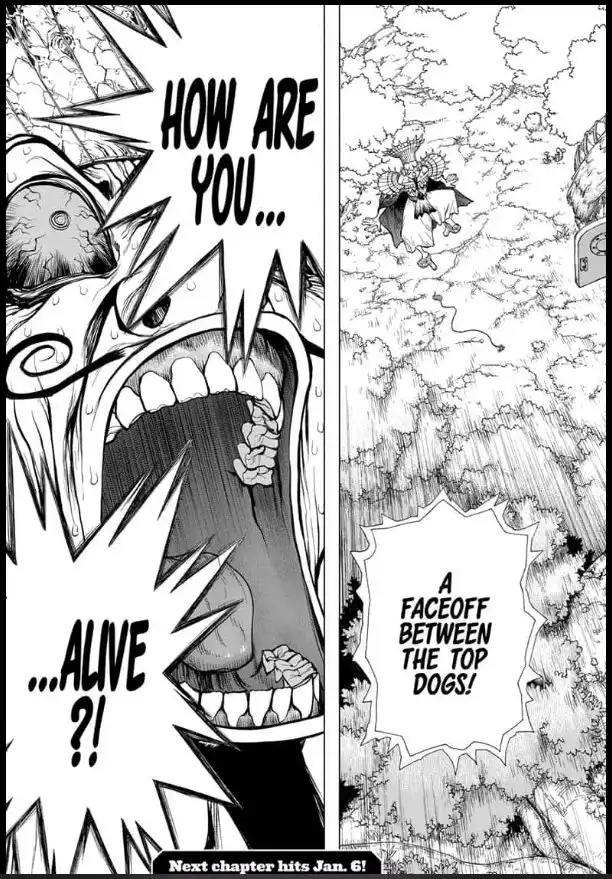 Dr. Stone Chapter 134 20